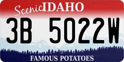 ID license plate 3B5022W