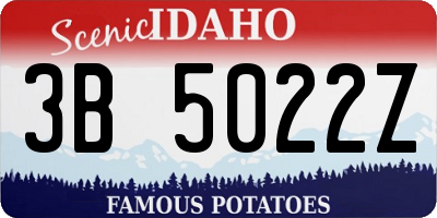 ID license plate 3B5022Z