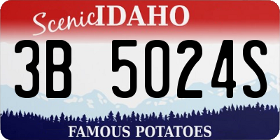 ID license plate 3B5024S
