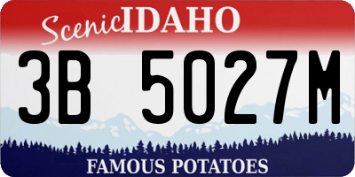 ID license plate 3B5027M