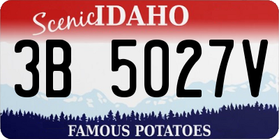ID license plate 3B5027V