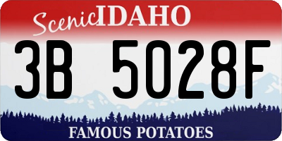 ID license plate 3B5028F