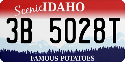 ID license plate 3B5028T