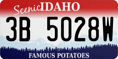 ID license plate 3B5028W
