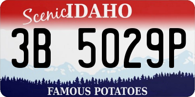 ID license plate 3B5029P