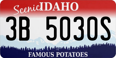 ID license plate 3B5030S
