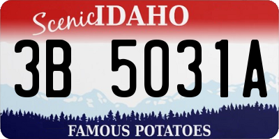 ID license plate 3B5031A