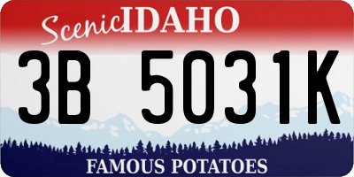 ID license plate 3B5031K