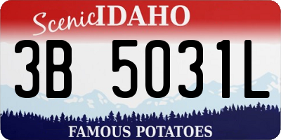 ID license plate 3B5031L