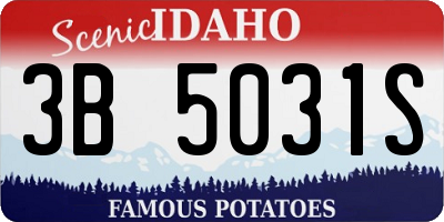 ID license plate 3B5031S