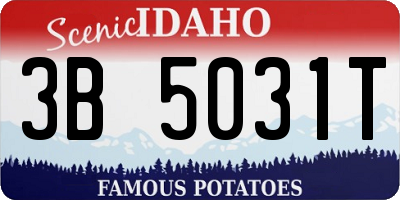 ID license plate 3B5031T