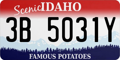 ID license plate 3B5031Y