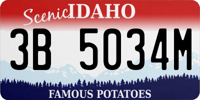 ID license plate 3B5034M