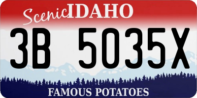 ID license plate 3B5035X