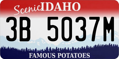 ID license plate 3B5037M
