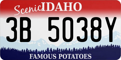ID license plate 3B5038Y