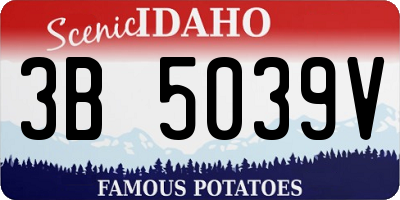 ID license plate 3B5039V