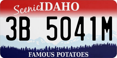 ID license plate 3B5041M