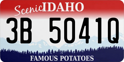 ID license plate 3B5041Q