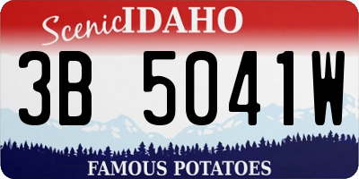 ID license plate 3B5041W
