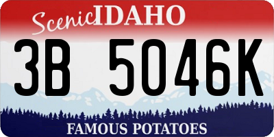 ID license plate 3B5046K