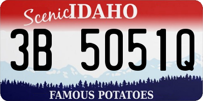 ID license plate 3B5051Q