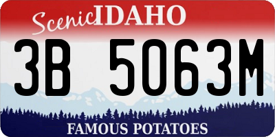 ID license plate 3B5063M