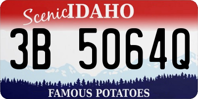 ID license plate 3B5064Q