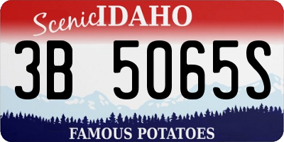ID license plate 3B5065S