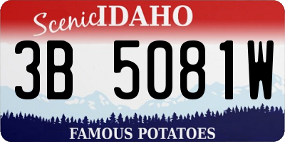 ID license plate 3B5081W