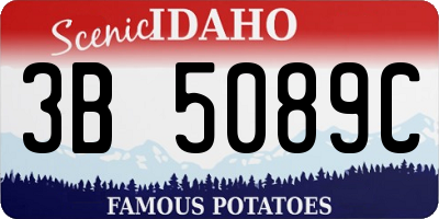 ID license plate 3B5089C