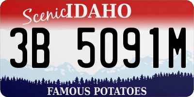 ID license plate 3B5091M