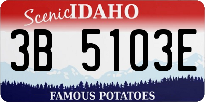 ID license plate 3B5103E