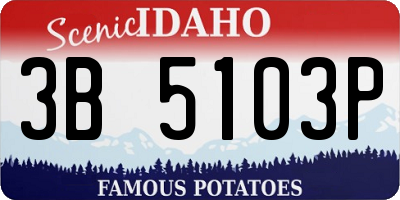 ID license plate 3B5103P