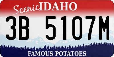 ID license plate 3B5107M