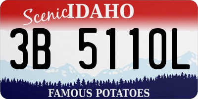 ID license plate 3B5110L