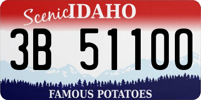 ID license plate 3B5110O