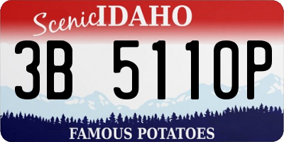 ID license plate 3B5110P