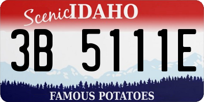 ID license plate 3B5111E