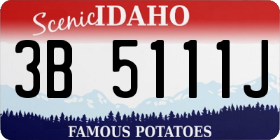 ID license plate 3B5111J