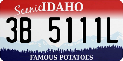 ID license plate 3B5111L