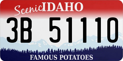 ID license plate 3B5111O