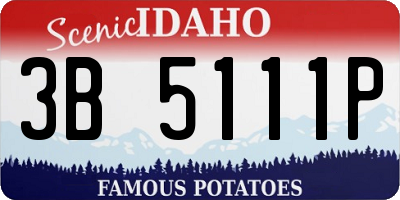 ID license plate 3B5111P