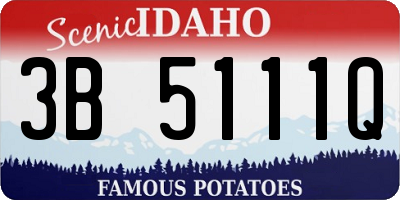 ID license plate 3B5111Q