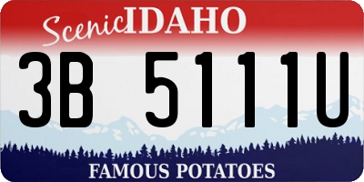 ID license plate 3B5111U