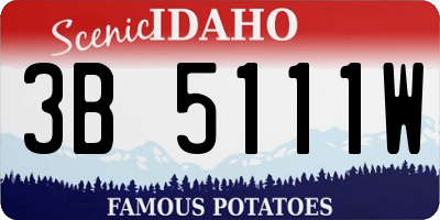 ID license plate 3B5111W