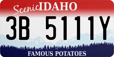 ID license plate 3B5111Y