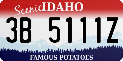 ID license plate 3B5111Z