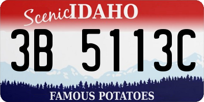 ID license plate 3B5113C
