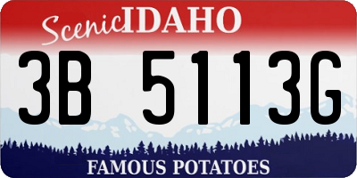 ID license plate 3B5113G